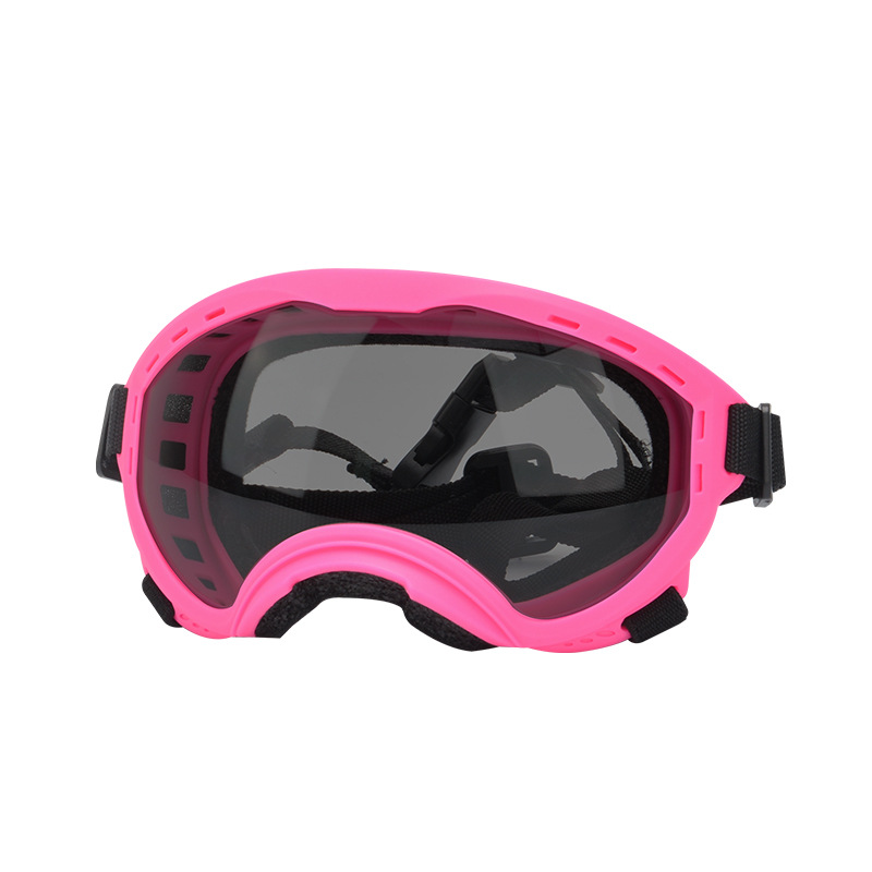 Okulary dla zwierząt, ochrona  – Travel Accessories Ideas recenzja i cena